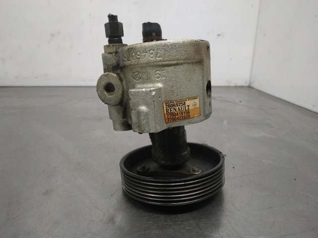 7700419156 Renault (RVI)