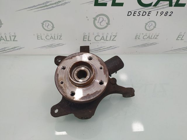 Muñón del eje, suspensión de rueda, delantero izquierdo 7700423102 Renault (RVI)