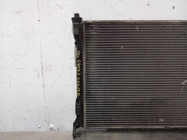 RENAULT 7700436916 Radiador de refrigeración del motor  comprar en Murcia
