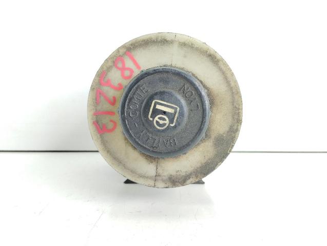 Depósito de bomba de dirección hidráulica Renault Laguna 1 B56, 556