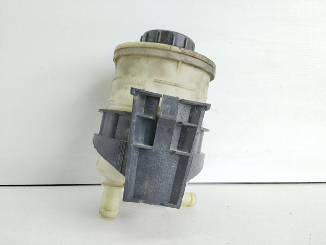 Depósito de bomba de dirección hidráulica Renault Laguna 1 B56, 556