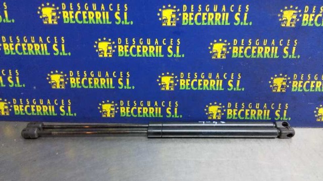 Comprar Amortiguador de puerta trasera Clio I BC57, 5357