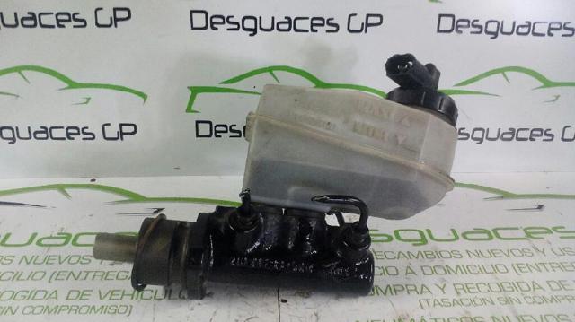 7700828034 Renault (RVI)