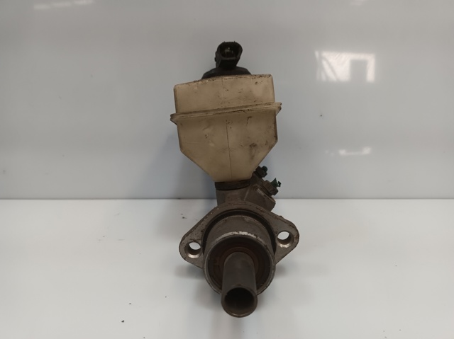 7700828034 Renault (RVI)