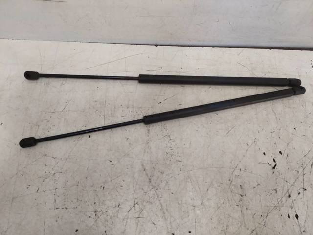 RENAULT 7700828454 Amortiguador maletero  en stock Salamanca
