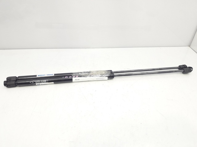 7700828454 Renault (RVI)