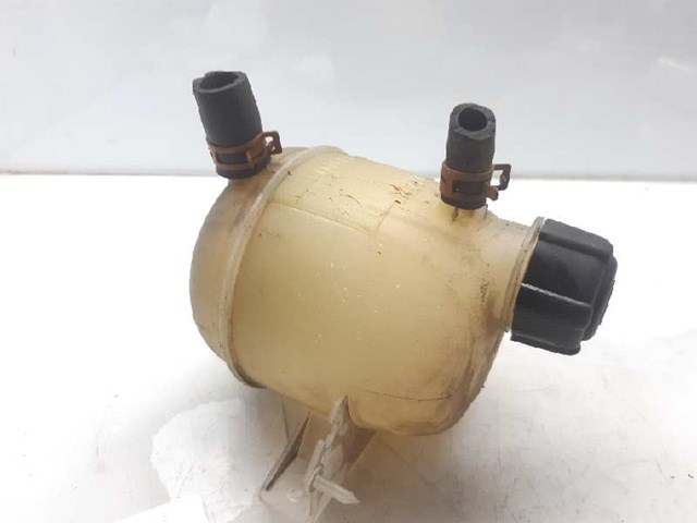 7700836316 Renault (RVI)