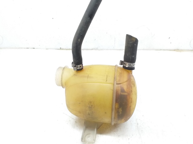 7700836316 Renault (RVI)