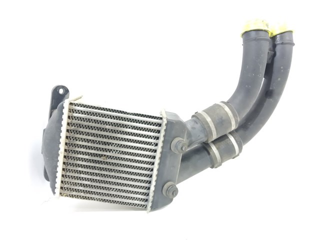 Radiador de aire de admisión Renault Megane 1 LA0, LA1