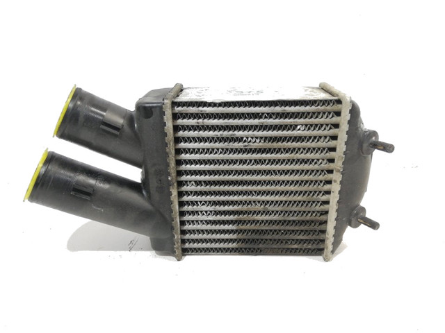 Radiador de aire de admisión Renault Megane 1 LA0, LA1