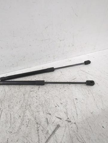 7700838612 RENAULT Amortiguador de la tapa del maletero  comprar en Oviedo