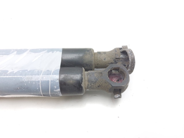 7700838612 RENAULT Amortiguador de la tapa del maletero  comprar en Lleida