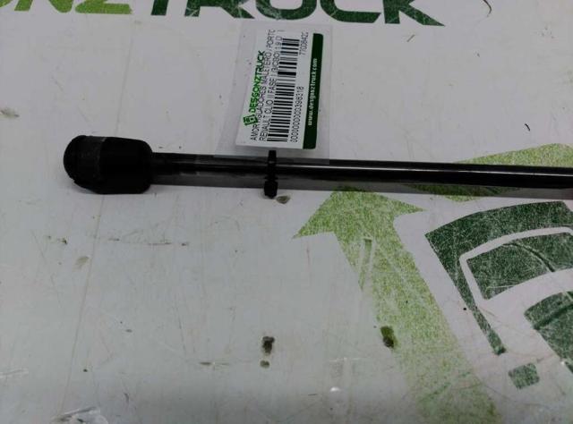 RENAULT 7700842256 Amortiguador maletero comprar Pamplona