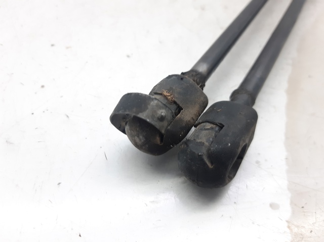 7700842256 RENAULT Amortiguador de la tapa del maletero  comprar en Lleida