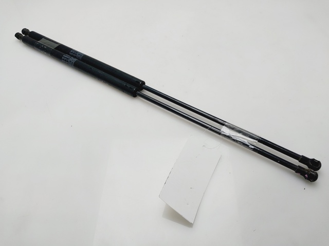 7700846773 RENAULT Amortiguador de la tapa del maletero  comprar en Jaén