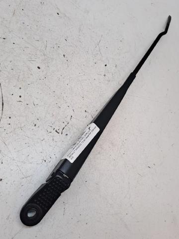 Brazo del limpiaparabrisas, delantero Renault Kangoo II (FW0)