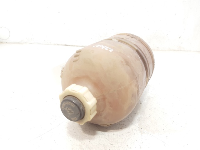 7701203218 Renault (RVI)