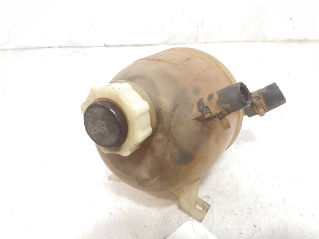 Botella de refrigeración Renault Megane JA0, JA1