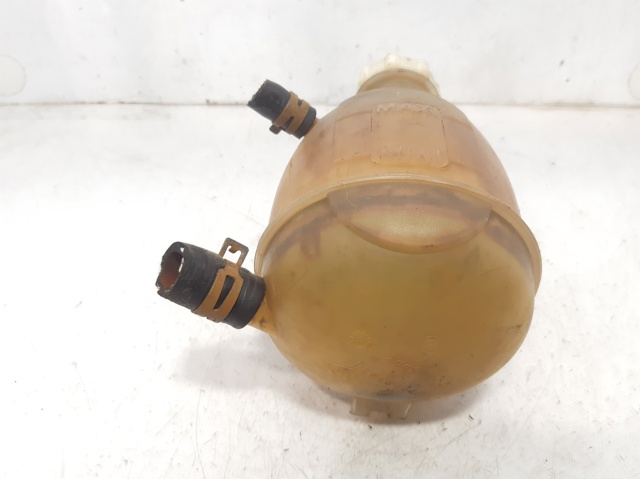 Botella de refrigeración Renault Megane JA0, JA1