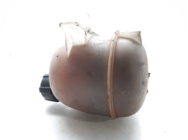 Botella de refrigeración Renault Megane JA0, JA1