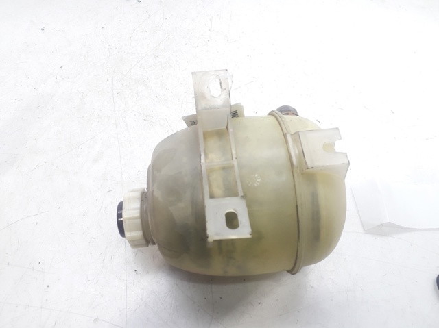 Botella de refrigeración Renault Megane JA0, JA1