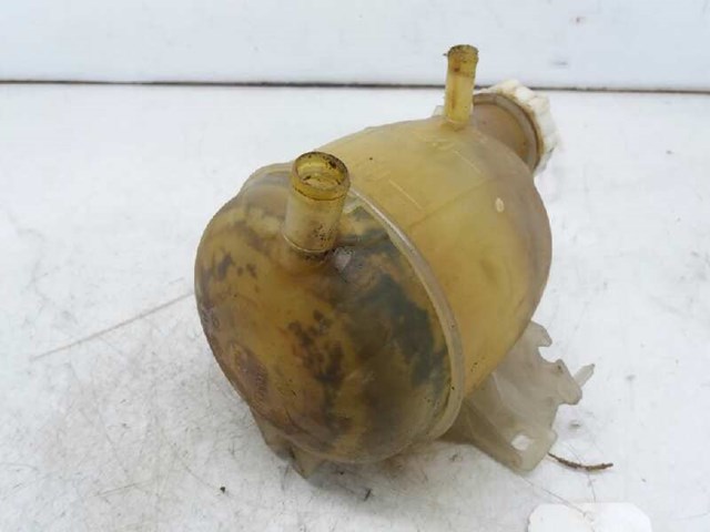 7701470460 RENAULT Vaso de expansión  en stock Córdoba