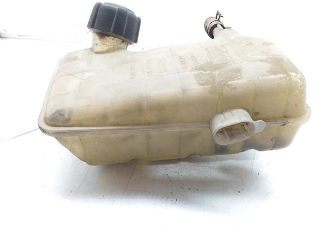 Botella de refrigeración Renault Megane 2 LM0, LM1