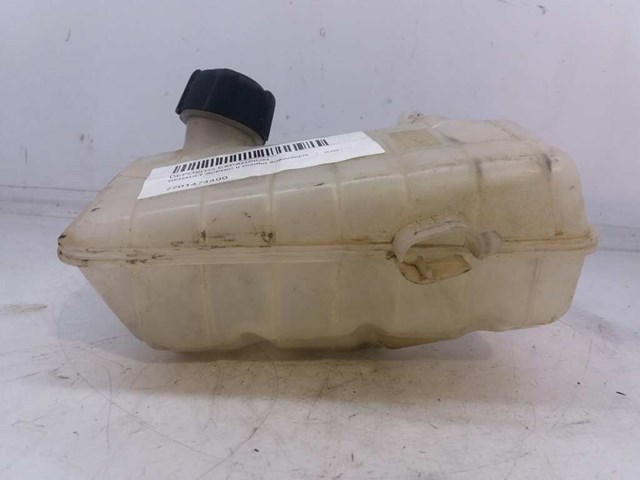 Botella de refrigeración Renault Megane 2 LM0, LM1