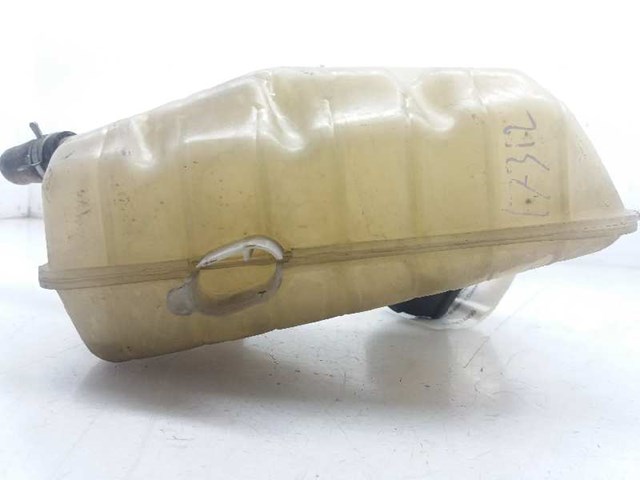 Botella de refrigeración Renault Megane 2 LM0, LM1