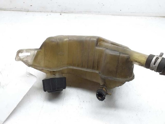 Botella de refrigeración Renault Megane 2 LM0, LM1