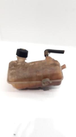 Botella de refrigeración Renault Megane 2 LM0, LM1