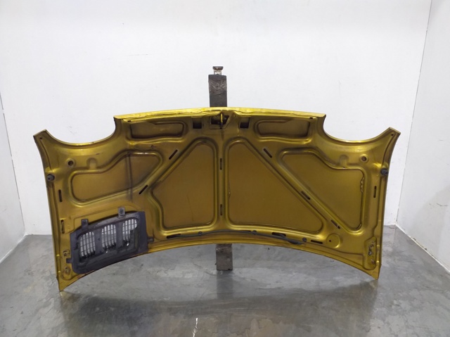 Comprar Capot Twingo I C06