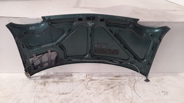 Capó para Renault Twingo C06