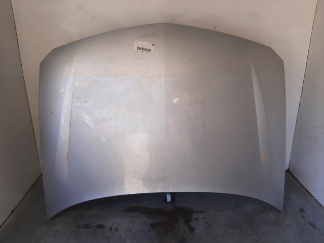 Capó del motor Renault Laguna II desde 166,98 €