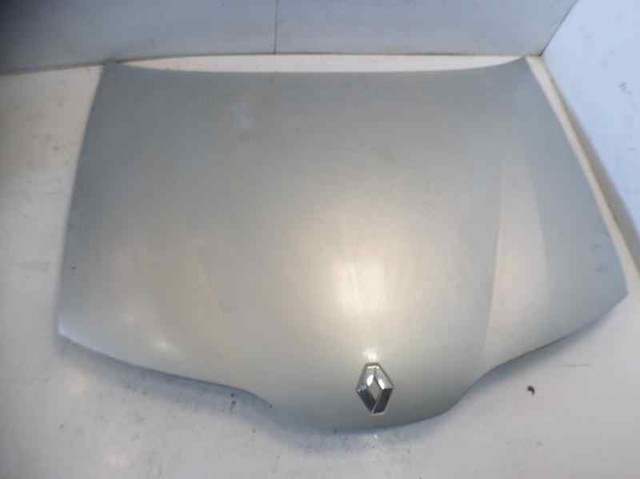 RENAULT 7751471641 Capó  comprar en Murcia