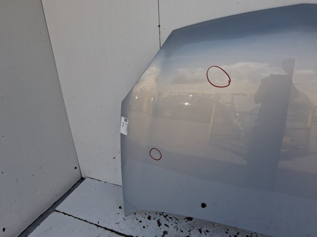 7751473024 RENAULT Capó  comprar en Oviedo