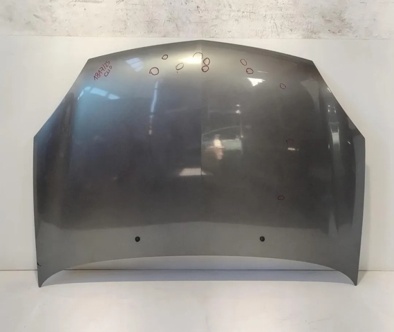 Capó del motor Renault Clio II desde 162,25 €