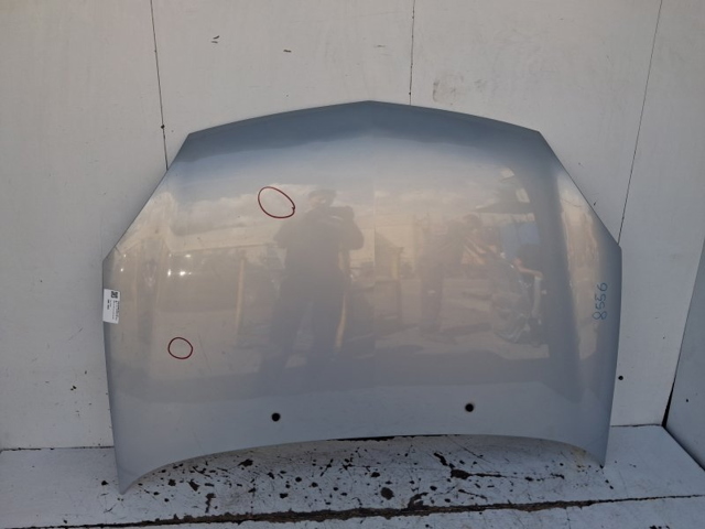 7751473024 RENAULT Capó  comprar en Jaén