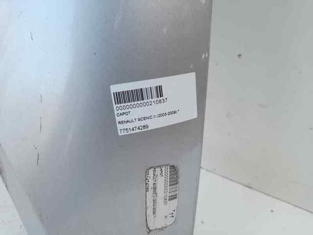 7751474289 Capó  disponible Utrera