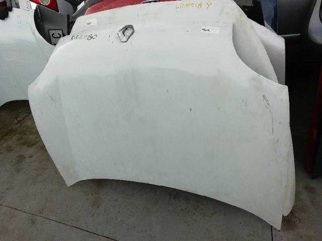 Capot Kangoo monovolumen (1998-2008) original desde 198,92 €
