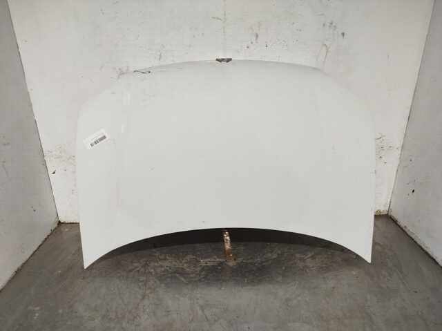 Capot Renault Kangoo monovolumen comprar en España