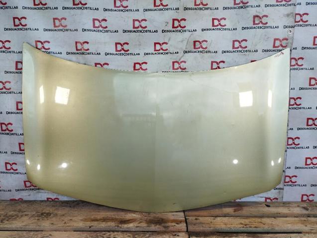 7751476151 RENAULT Capó comprar Bilbao