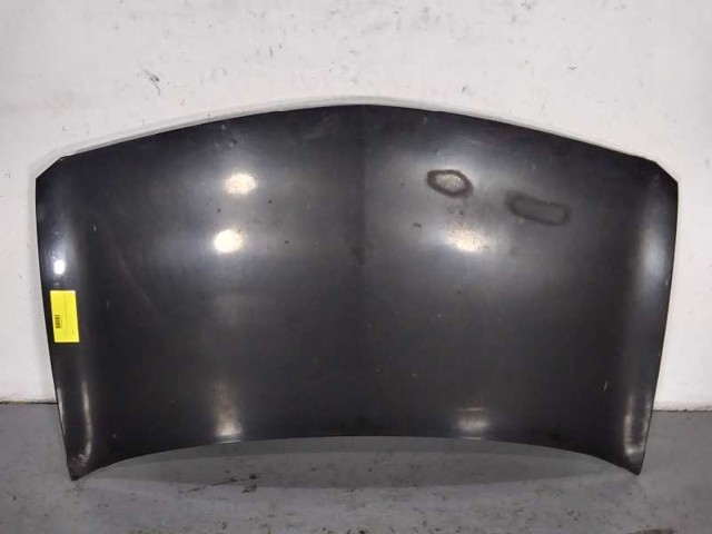 Capó del motor Renault Megane II desde 179,68 €