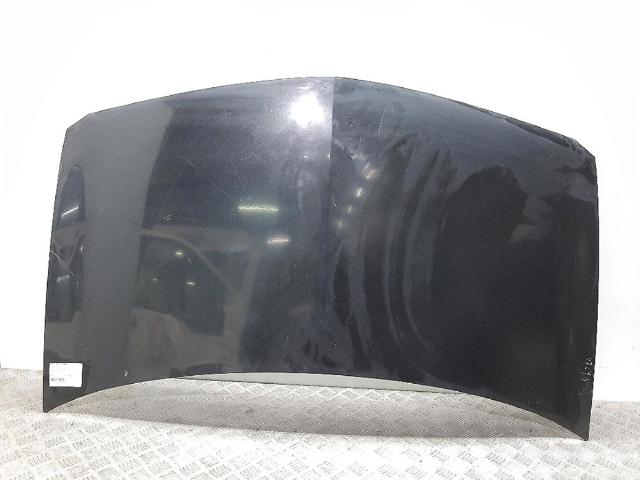 Capó del motor Renault Megane II desde 120,52 €