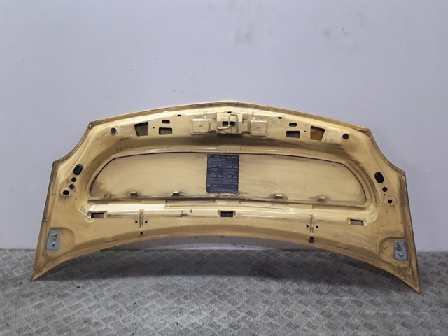 Capó del motor Renault Kangoo 2 FW0