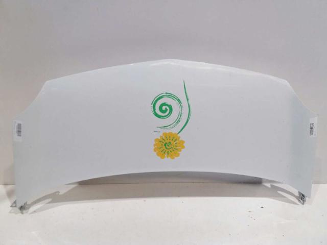 Capot para Renault Kangoo II (FW0)