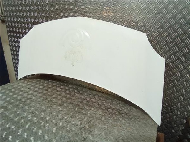 Capó del motor Renault Kangoo 2 FW0