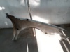7751675002 Renault (RVI)