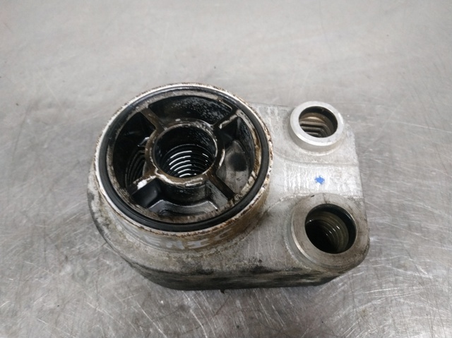 779744 RENAULT Radiador de aceite debajo del filtro  comprar en Lleida