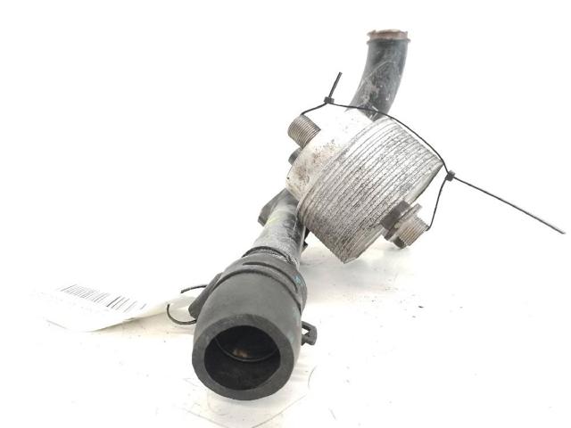 779744 RENAULT Radiador de aceite debajo del filtro  comprar en Oviedo